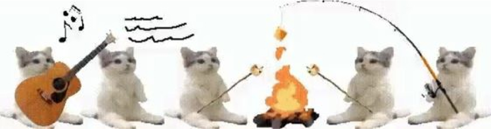 Cats Fire